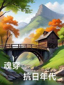 魂穿东北抗日