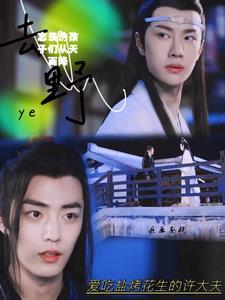 忘羡崽从天降合集