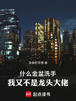 什么金盆洗手我又不是龙头大佬笔趣阁