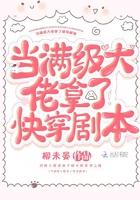 当满级大佬满级以后