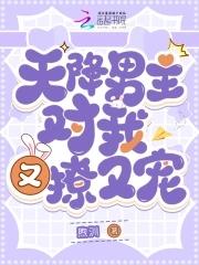 天降男主对我又撩又宠