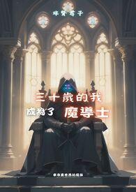 三十岁的我成为了魔导士免费阅读