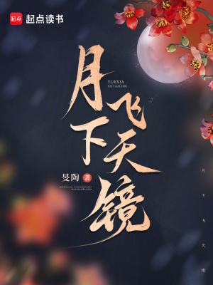 月下飞天镜翻译