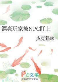 漂亮玩家被npc盯上阅读
