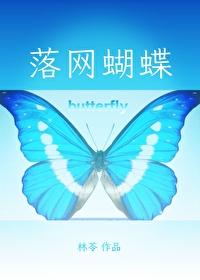 蝴蝶落入蛛网