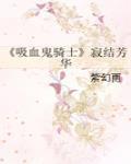 吸血鬼骑士寂结芳华2