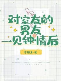 对室友的男友一见钟情后叶泊则番外