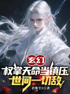 掌权天下写的