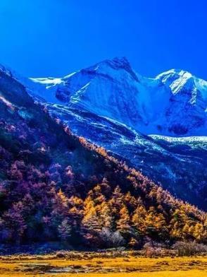 我的日常番很有问题