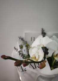 我的未婚妻欲求不满全文阅读